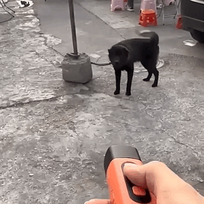Pet Dog Repeller Ultrasonic Training Device
